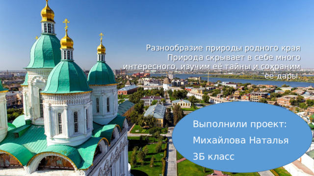 Разнообразие природы родного края Природа скрывает в себе много интересного, изучим её тайны и сохраним её дары. Выполнили проект: Михайлова Наталья 3Б класс  