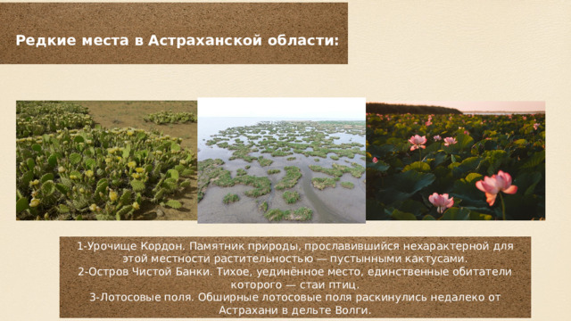 Редкие места в Астраханской области: 1-Урочище Кордон. Памятник природы, прославившийся нехарактерной для этой местности растительностью — пустынными кактусами. 2-Остров Чистой Банки. Тихое, уединённое место, единственные обитатели которого — стаи птиц. 3-Лотосовые поля. Обширные лотосовые поля раскинулись недалеко от Астрахани в дельте Волги. 