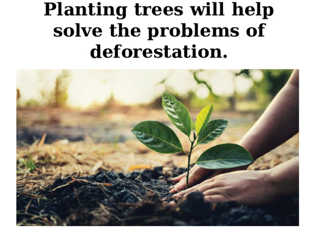 Planting trees will help solve the problems of deforestation. 