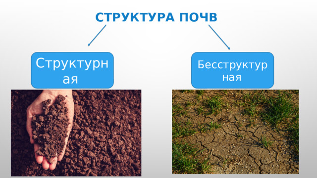 Структура  почв  Структурная Бесструктурная  