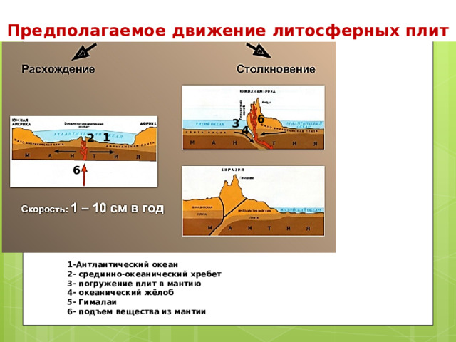 Предполагаемое движение литосферных плит 6 3 4 1 2 6 1-Антлантический океан 2- срединно-океанический хребет 3- погружение плит в мантию 4- океанический жёлоб 5- Гималаи 6- подъем вещества из мантии 