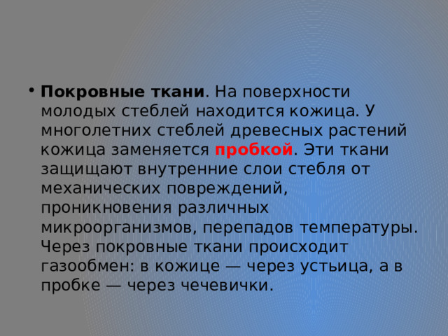 Покровные ткани . На поверхности молодых стеблей находится кожица. У многолетних стеблей древесных растений кожица заменяется пробкой . Эти ткани защищают внутренние слои стебля от механических повреждений, проникновения различных микроорганизмов, перепадов температуры. Через покровные ткани происходит газообмен: в кожице — через устьица, а в пробке — через чечевички. 