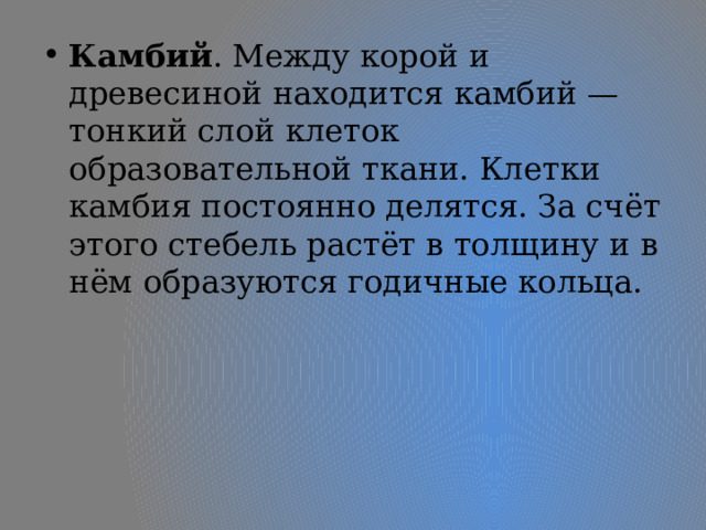 Камбий . Между корой и древесиной находится камбий — тонкий слой клеток образовательной ткани. Клетки камбия постоянно делятся. За счёт этого стебель растёт в толщину и в нём образуются годичные кольца. 