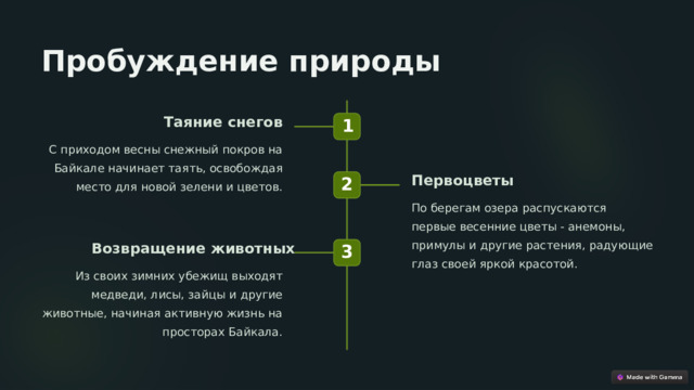 Пробуждение природы Таяние снегов 1 С приходом весны снежный покров на Байкале начинает таять, освобождая место для новой зелени и цветов. Первоцветы 2 По берегам озера распускаются первые весенние цветы - анемоны, примулы и другие растения, радующие глаз своей яркой красотой. Возвращение животных 3 Из своих зимних убежищ выходят медведи, лисы, зайцы и другие животные, начиная активную жизнь на просторах Байкала.  