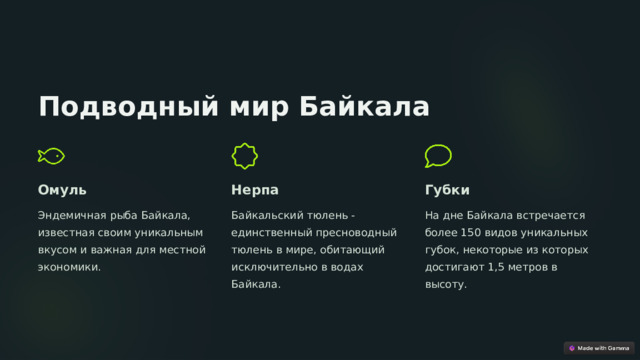 Подводный мир Байкала Омуль Нерпа Губки Эндемичная рыба Байкала, известная своим уникальным вкусом и важная для местной экономики. Байкальский тюлень - единственный пресноводный тюлень в мире, обитающий исключительно в водах Байкала. На дне Байкала встречается более 150 видов уникальных губок, некоторые из которых достигают 1,5 метров в высоту.  