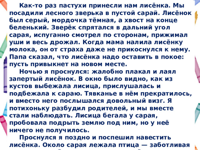  Как-то раз пастухи принесли нам лисёнка. Мы посадили лесного зверька в пустой сарай. Лисёнок был серый, мордочка тёмная, а хвост на конце беленький. Зверёк спрятался в дальний угол сарая, испуганно смотрел по сторонам, прижимал уши и весь дрожал. Когда мама налила лисёнку молока, он от страха даже не прикоснулся к нему. Папа сказал, что лисёнка надо оставить в покое: пусть привыкнет на новом месте.  Ночью я проснулся: жалобно плакал и лаял запертый лисёнок. В окно было видно, как из кустов выбежала лисица, прислушалась и подбежала к сараю. Тявканье в нём прекратилось, и вместо него послышался довольный визг. Я потихоньку разбудил родителей, и мы вместе стали наблюдать. Лисица бегала у сарая, пробовала подрыть землю под ним, но у неё ничего не получилось.  Проснулся я поздно и поспешил навестить лисёнка. Около сарая лежала птица  — заботливая мать-лиса ещё раз приходила к лисёнку и принесла ему еду. На следующий день около сарая лежала уже соседская курица. Мы поняли, как тоскует мать по своему детёнышу, посадили лисёнка в мешок и отнесли в лес, к лисьим норам. 