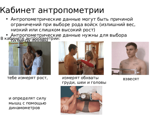 Кабинет антропометрии Антропометрические данные могут быть причиной ограничений при выборе рода войск (излишний вес, низкий или слишком высокий рост) Антропометрические данные нужны для выбора размера формы В кабинете антропометрии: измерят обхваты груди, шеи и головы тебе измерят рост, взвесят и определят силу мышц с помощью динамометров 