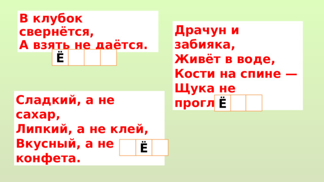 В клубок свернётся,  А взять не даётся. Драчун и забияка,  Живёт в воде,  Кости на спине —  Щука не проглотит. Ё  Сладкий, а не сахар,  Липкий, а не клей,  Вкусный, а не конфета. Ё Ё  
