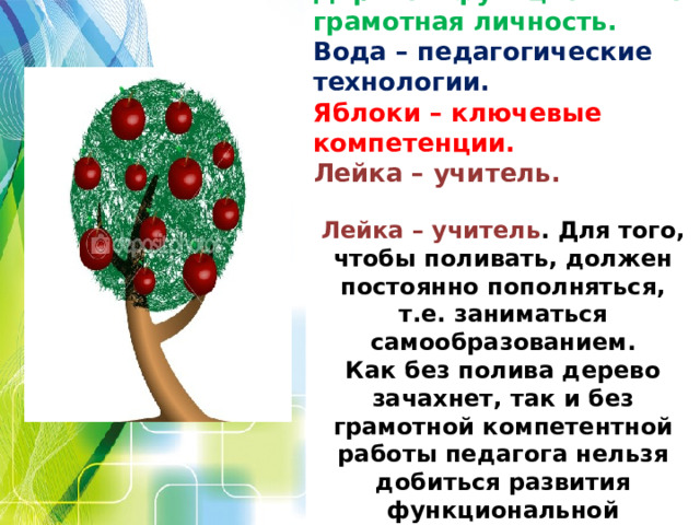 Дерево – функционально грамотная личность. Вода – педагогические технологии. Яблоки – ключевые компетенции. Лейка – учитель.  Лейка – учитель . Для того, чтобы поливать, должен постоянно пополняться, т.е. заниматься самообразованием. Как без полива дерево зачахнет, так и без грамотной компетентной работы педагога нельзя добиться развития функциональной грамотности. 