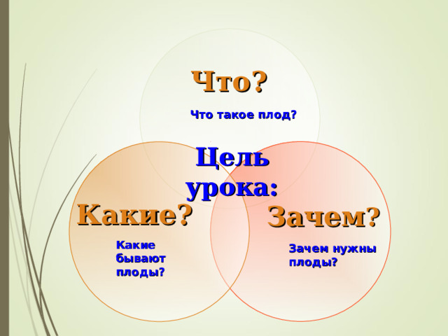 Что? Что такое плод? Цель урока:  Зачем ?   Какие?  Какие бывают плоды? Зачем нужны плоды? 