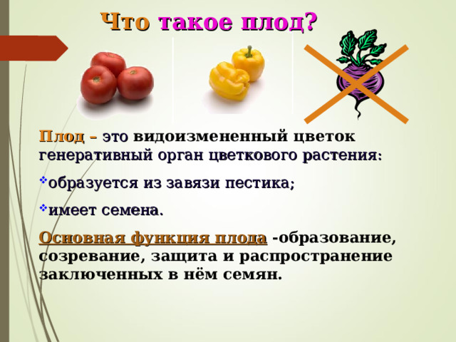 Что  такое плод? Плод –  это видоизмененный цветок генеративный орган цветкового растения: образуется из завязи пестика; имеет семена. Основная функция плода  -образование, созревание, защита и распространение заключенных в нём семян.   