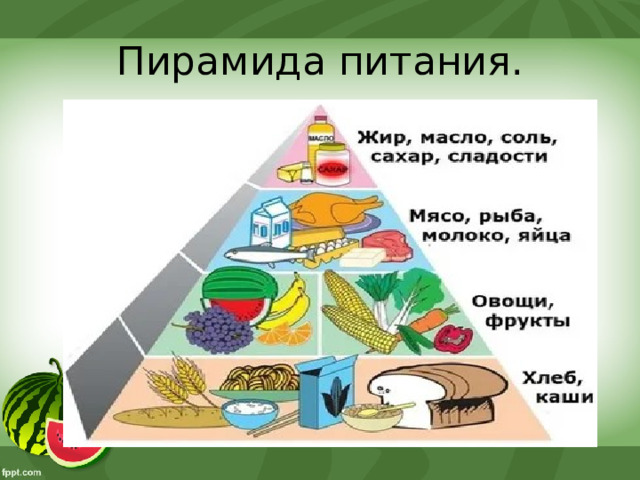 Пирамида питания. 