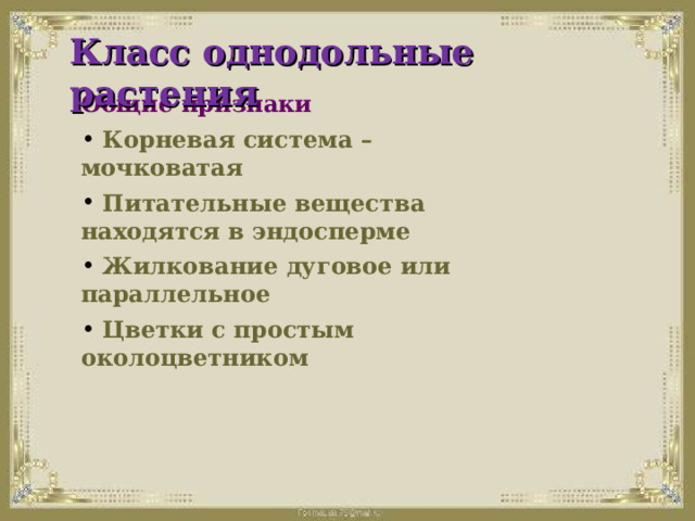 Класс однодольные растения Общие признаки  Корневая система – мочковатая  Питательные вещества находятся в эндосперме  Жилкование дуговое или параллельное  Цветки с простым околоцветником    