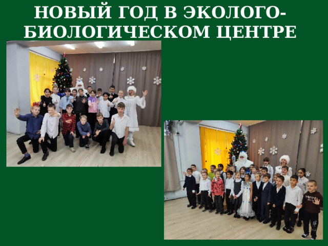 НОВЫЙ ГОД В ЭКОЛОГО-БИОЛОГИЧЕСКОМ ЦЕНТРЕ 