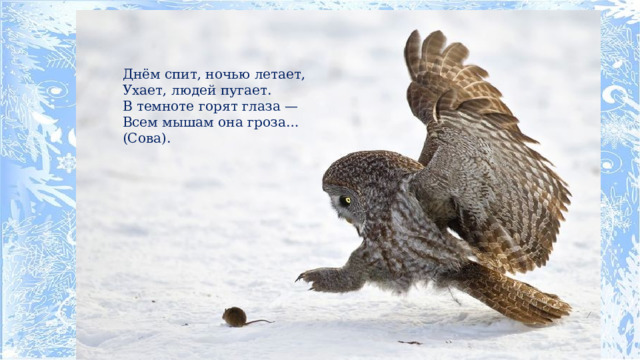 Днём спит, ночью летает, Ухает, людей пугает. В темноте горят глаза — Всем мышам она гроза… (Сова). 