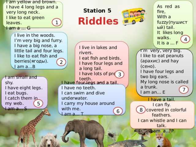 Red Nose Riddles Презентация к открытому уроку