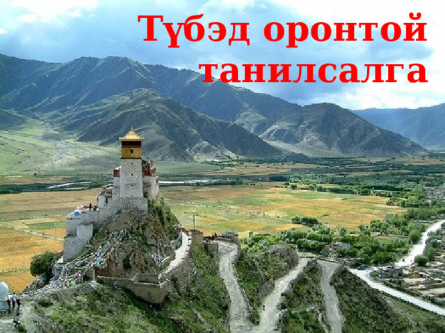 Түбэд оронтой танилсалга 