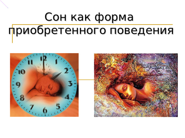 Сон как форма приобретенного поведения 