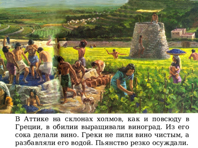 В Аттике на склонах холмов, как и повсюду в Греции, в обилии выращивали виноград. Из его сока делали вино. Греки не пили вино чистым, а разбавляли его водой. Пьянство резко осуждали. 