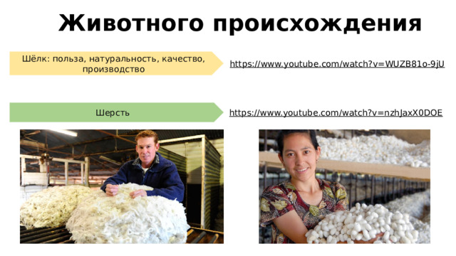 Животного происхождения Шёлк: польза, натуральность, качество, производство https://www.youtube.com/watch?v=WUZB81o-9jU  Шерсть https://www.youtube.com/watch?v=nzhJaxX0DOE  