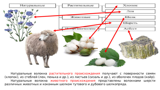Натуральные волокна растительного происхождения получают с поверхности семян (хлопок), из стеблей (лен, пенька и др.), из листьев (сизаль и др.), из оболочек плодов (койр). Натуральные волокна животного происхождения представлены волокнами шерсти различных животных и коконным шелком тутового и дубового шелкопряда. 