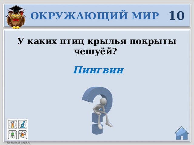 10 ОКРУЖАЮЩИЙ МИР У каких птиц крылья покрыты чешуёй? Пингвин  