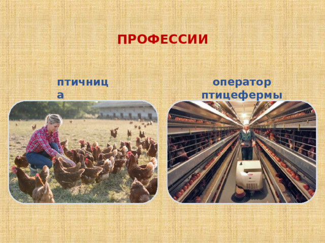 ПРОФЕССИИ птичница оператор птицефермы 