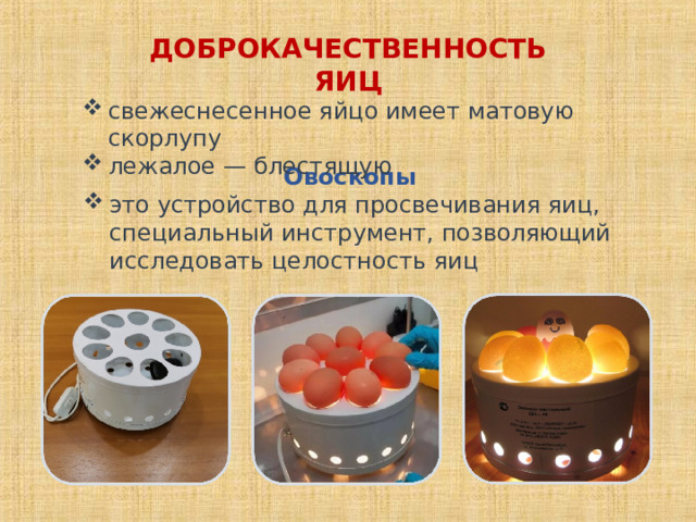 ДОБРОКАЧЕСТВЕННОСТЬ ЯИЦ свежеснесенное яйцо имеет матовую скорлупу лежалое — блестящую Овоскопы это устройство для просвечивания яиц, специальный инструмент, позволяющий исследовать целостность яиц 