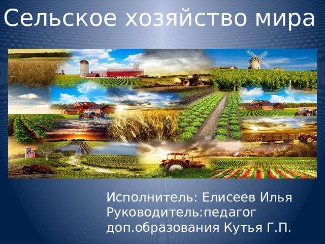 Сельское хозяйство мира Исполнитель: Елисеев Илья Руководитель:педагог доп.образования Кутья Г.П. 
