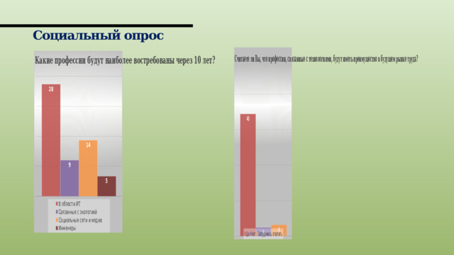 Социальный опрос 