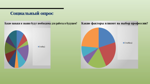 Социальный опрос 