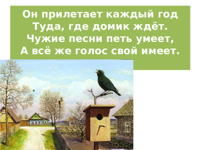 Он прилетает каждый год  Туда, где домик ждёт.  Чужие песни петь умеет,  А всё же голос свой имеет.   