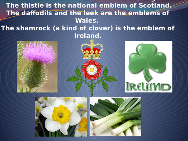 Every country has its own national emblem.  The red rose is the national emblem of England.  The thistle is the national emblem of Scotland.  The daffodils and the leek are the emblems of Wales.  The shamrock (a kind of clover) is the emblem of Ireland.    