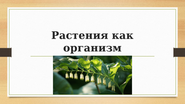 Растения как организм 