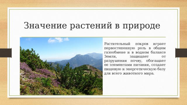 Значение растений в природе Растительный покров играет первостепенную роль в общем газообмене и в водном балансе Земли, защищает от разрушения почву, обогащает ее элементами питания, создает пищевую и энергетическую базу для всего животного мира. 