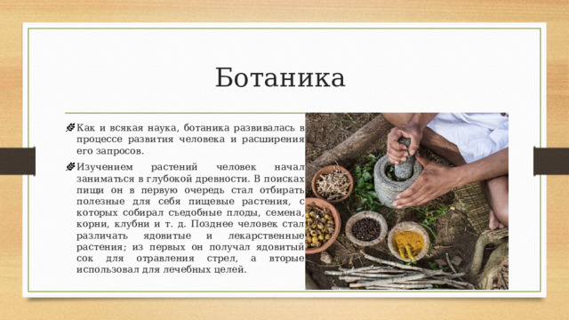 Ботаника Как и всякая наука, ботаника развивалась в процессе развития человека и расширения его запросов. Изучением растений человек начал заниматься в глубокой древности. В поисках пищи он в первую очередь стал отбирать полезные для себя пищевые растения, с которых собирал съедобные плоды, семена, корни, клубни и т. д. Позднее человек стал различать ядовитые и лекарственные растения; из первых он получал ядовитый сок для отравления стрел, а вторые использовал для лечебных целей. 