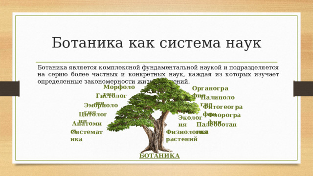 Ботаника как система наук Ботаника является комплексной фундаментальной наукой и подразделяется на серию более частных и конкретных наук, каждая из которых изучает определенные закономерности жизни растений. Морфология Органография Гистология Палинология Эмбриология  Фитогеография Цитология Флорография Экология Анатомия Палеоботаника Систематика Физиология растений БОТАНИКА 
