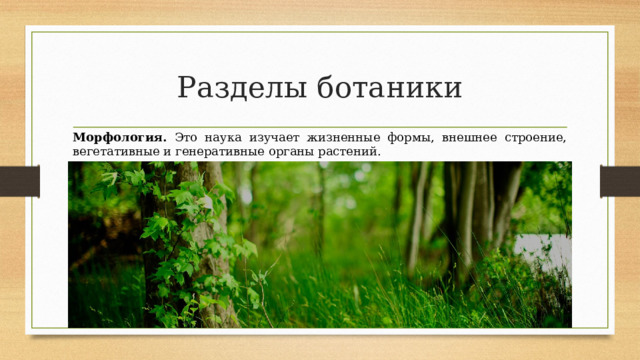 Разделы ботаники Морфология. Это наука изучает жизненные формы, внешнее строение, вегетативные и генеративные органы растений. 