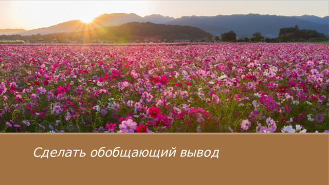 Сделать обобщающий вывод 