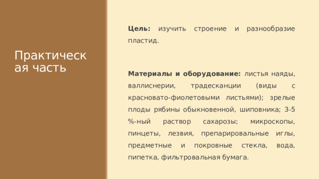 Практическая часть Цель: изучить строение и разнообразие пластид. Материалы и оборудование: листья наяды, валлиснерии, традесканции (виды с красновато-фиолетовыми листьями); зрелые плоды рябины обыкновенной, шиповника; 3-5 %-ный раствор сахарозы; микроскопы, пинцеты, лезвия, препарировальные иглы, предметные и покровные стекла, вода, пипетка, фильтровальная бумага. 