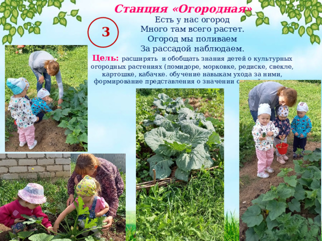 Станция  «Огородная» Есть у нас огород  Много там всего растет. 3 Огород мы поливаем За рассадой наблюдаем. Цель:  расширять и обобщать знания детей о культурных огородных растениях (помидоре, морковке, редиске, свекле, картошке, кабачке. обучение навыкам ухода за ними, формирование представления о значении овощей в жизни человека . 