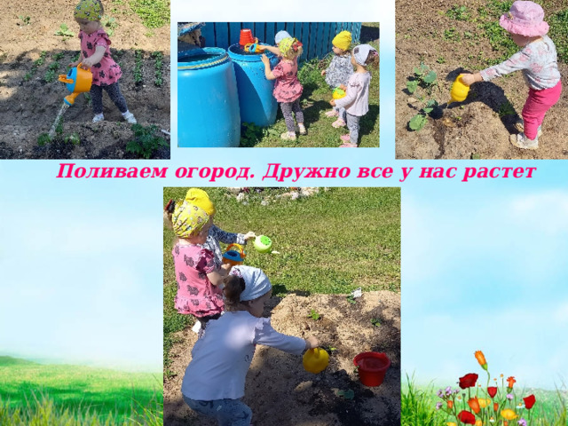 Поливаем огород. Дружно все у нас растет 