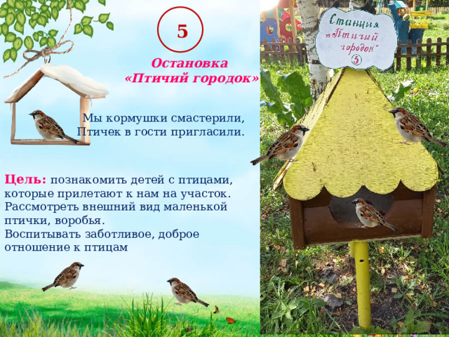 5 Остановка «Птичий городок» Мы кормушки смастерили,  Птичек в гости пригласили. Цель: познакомить детей с птицами, которые прилетают к нам на участок. Рассмотреть внешний вид маленькой птички, воробья. Воспитывать заботливое, доброе отношение к птицам 