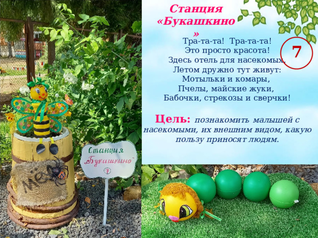 Станция «Букашкино» Тра-та-та! Тра-та-та! Это просто красота! Здесь отель для насекомых, Летом дружно тут живут: Мотыльки и комары, Пчелы, майские жуки, Бабочки, стрекозы и сверчки! Цель: познакомить  малышей с насекомыми, их внешним видом, какую пользу приносят людям. 7 