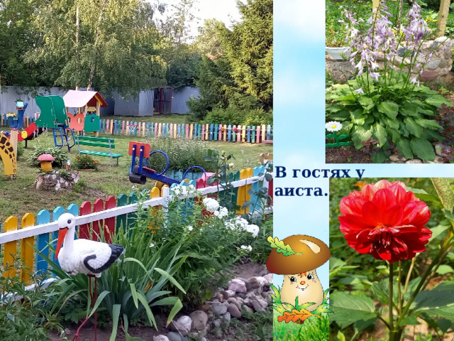 В гостях у аиста. 