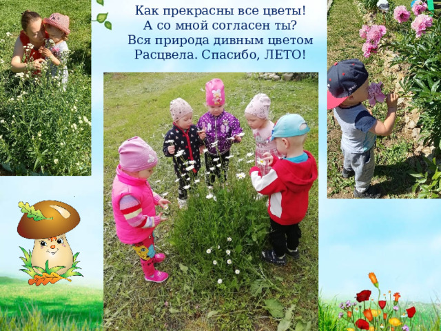 Как прекрасны все цветы!  А со мной согласен ты?  Вся природа дивным цветом  Расцвела. Спасибо, ЛЕТО! 