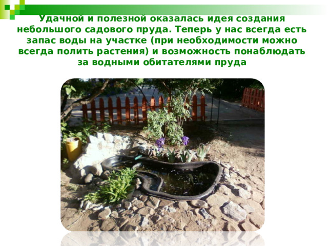 Удачной и полезной оказалась идея создания небольшого садового пруда. Теперь у нас всегда есть запас воды на участке (при необходимости можно всегда полить растения) и возможность понаблюдать за водными обитателями пруда 