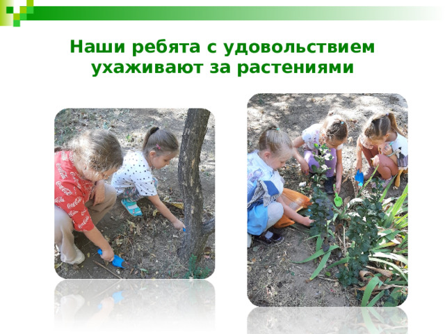 Наши ребята с удовольствием ухаживают за растениями 