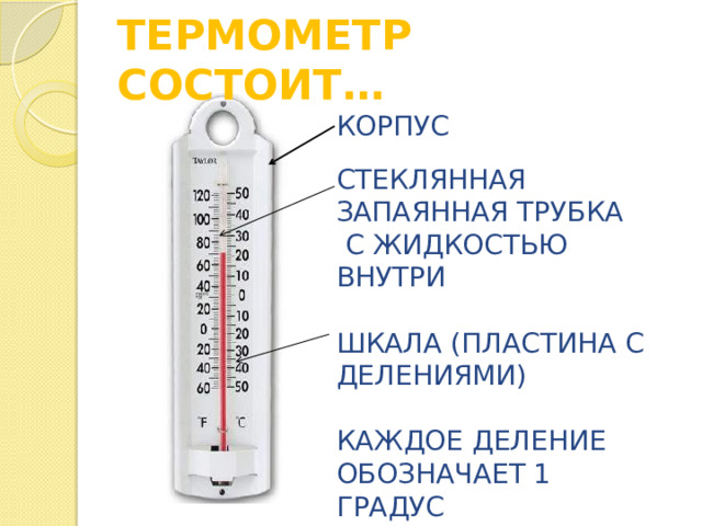 ТЕРМОМЕТР СОСТОИТ… КОРПУС СТЕКЛЯННАЯ ЗАПАЯННАЯ ТРУБКА  С ЖИДКОСТЬЮ ВНУТРИ ШКАЛА (ПЛАСТИНА С ДЕЛЕНИЯМИ) КАЖДОЕ ДЕЛЕНИЕ ОБОЗНАЧАЕТ 1 ГРАДУС 