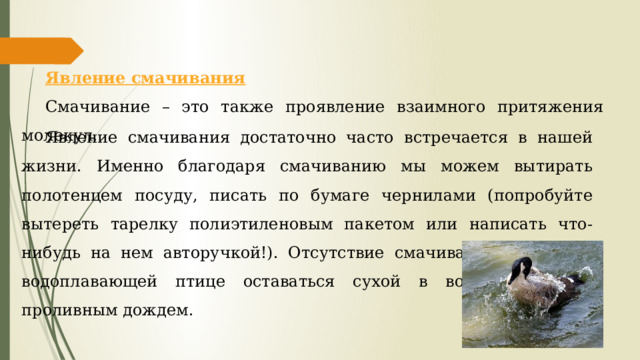 Явление смачивания Смачивание – это также проявление взаимного притяжения молекул. Явление смачивания достаточно часто встречается в нашей жизни. Именно благодаря смачиванию мы можем вытирать полотенцем посуду, писать по бумаге чернилами (попробуйте вытереть тарелку полиэтиленовым пакетом или написать что-нибудь на нем авторучкой!). Отсутствие смачивания позволяет водоплавающей птице оставаться сухой в воде даже под проливным дождем. 
